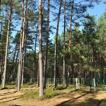 Pine Forest House 4 * Gauja (Carnikava)